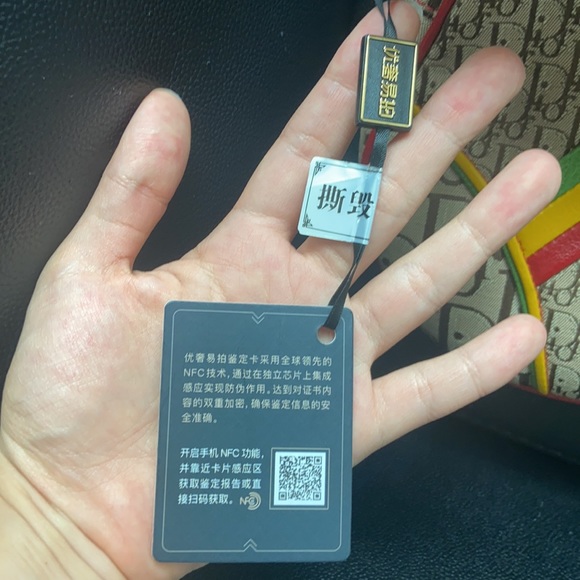 Dior Rasta Jamaican Special Edition Saddle Bag - Picture 9 of 12